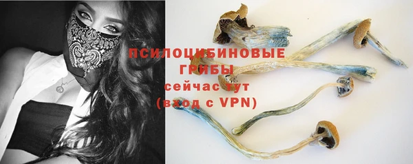 сатива Арсеньев