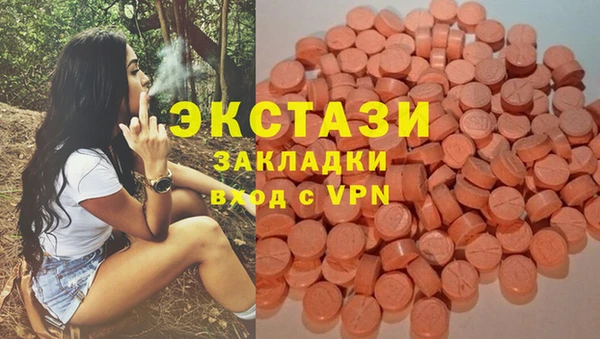 сатива Арсеньев