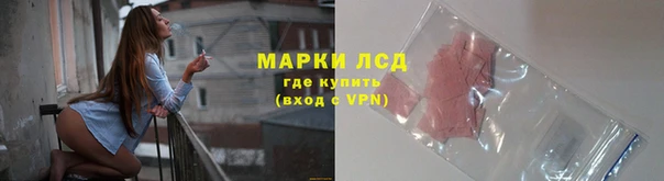 сатива Арсеньев
