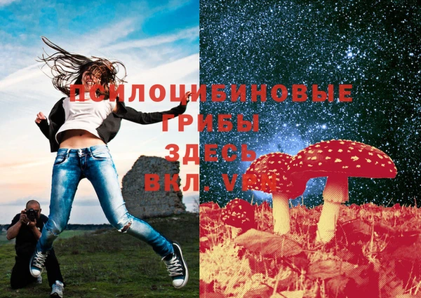 спиды Аркадак