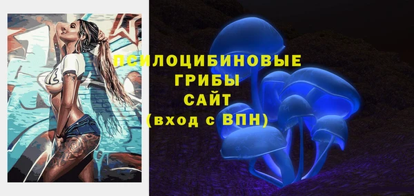 спиды Аркадак