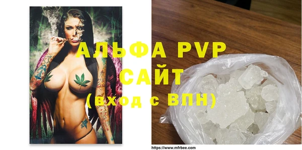 сатива Арсеньев