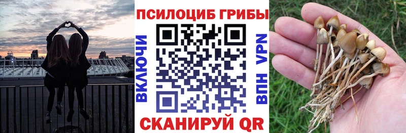 Псилоцибиновые грибы GOLDEN TEACHER Харабали